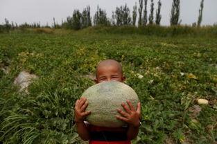 吃瓜网红图片高清,揭秘吃瓜网红高清美照背后的故事 第2张 吃瓜网红图片高清,揭秘吃瓜网红高清美照背后的故事 第2张