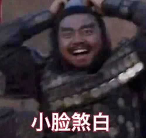 张飞百相守梦爆料视频,穿越时空的奇幻之旅  第2张