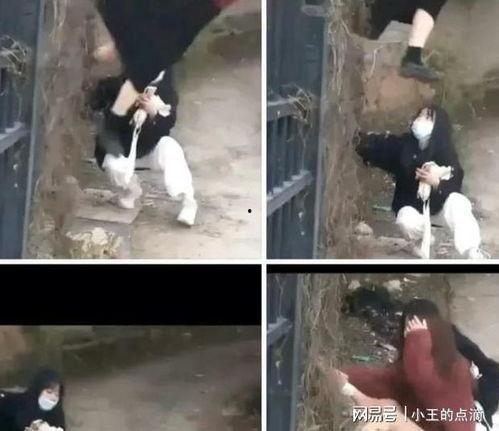 网友爆料金碧学校事件视频,校园冲突引发社会关注  第3张