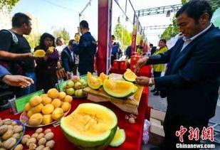 吃瓜最新事件爆料开封,吃瓜群众揭秘最新事件内幕 第1张 吃瓜最新事件爆料开封,吃瓜群众揭秘最新事件内幕 第1张